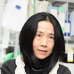 Prof. Reiko Gotoh Prof. Reiko Gotoh